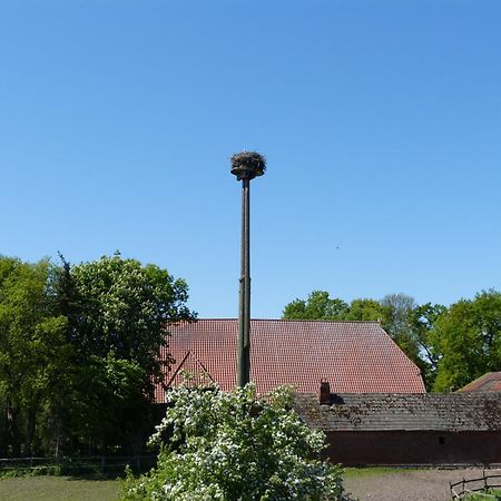Zur Amsel Lägenhet Damnatz Exteriör bild
